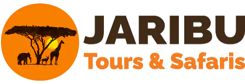 site logo