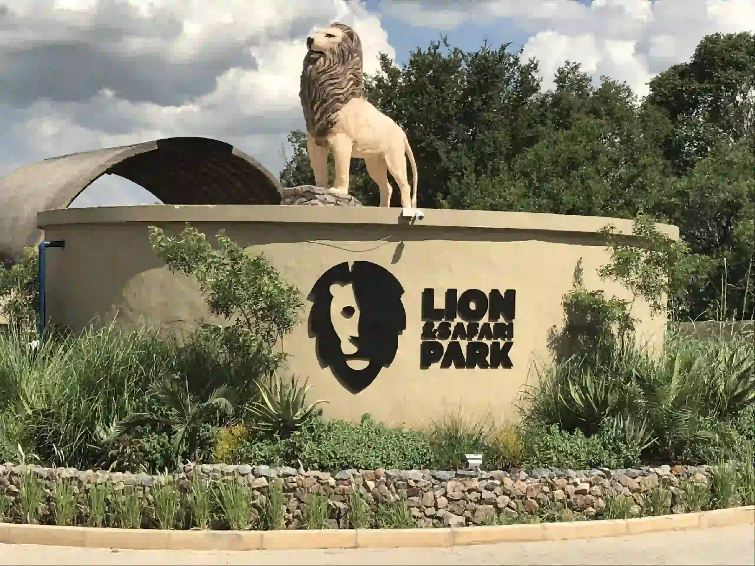 lion park pretoria